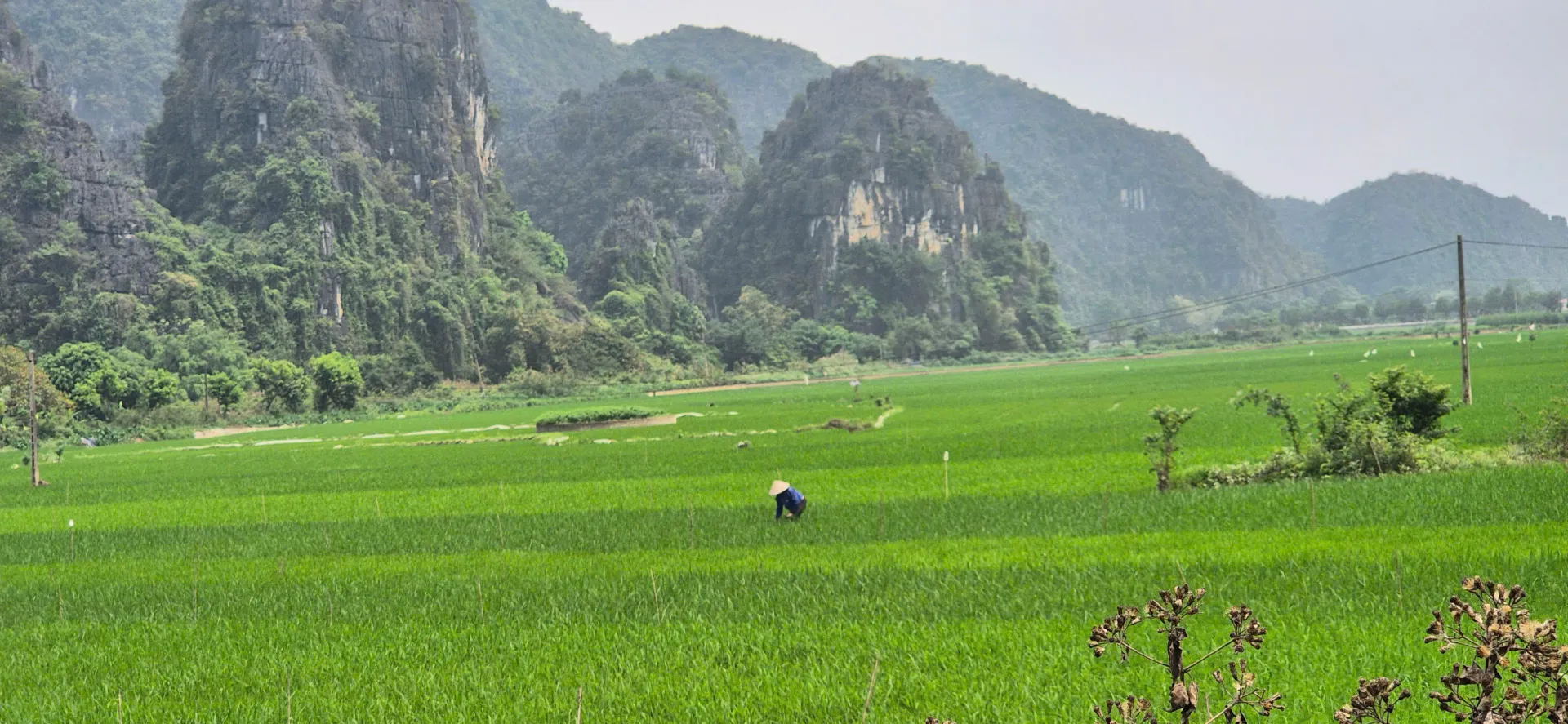 BAI DINH - HOA LU – TRANG AN - MUA CAVE - 1 DAY TRIP